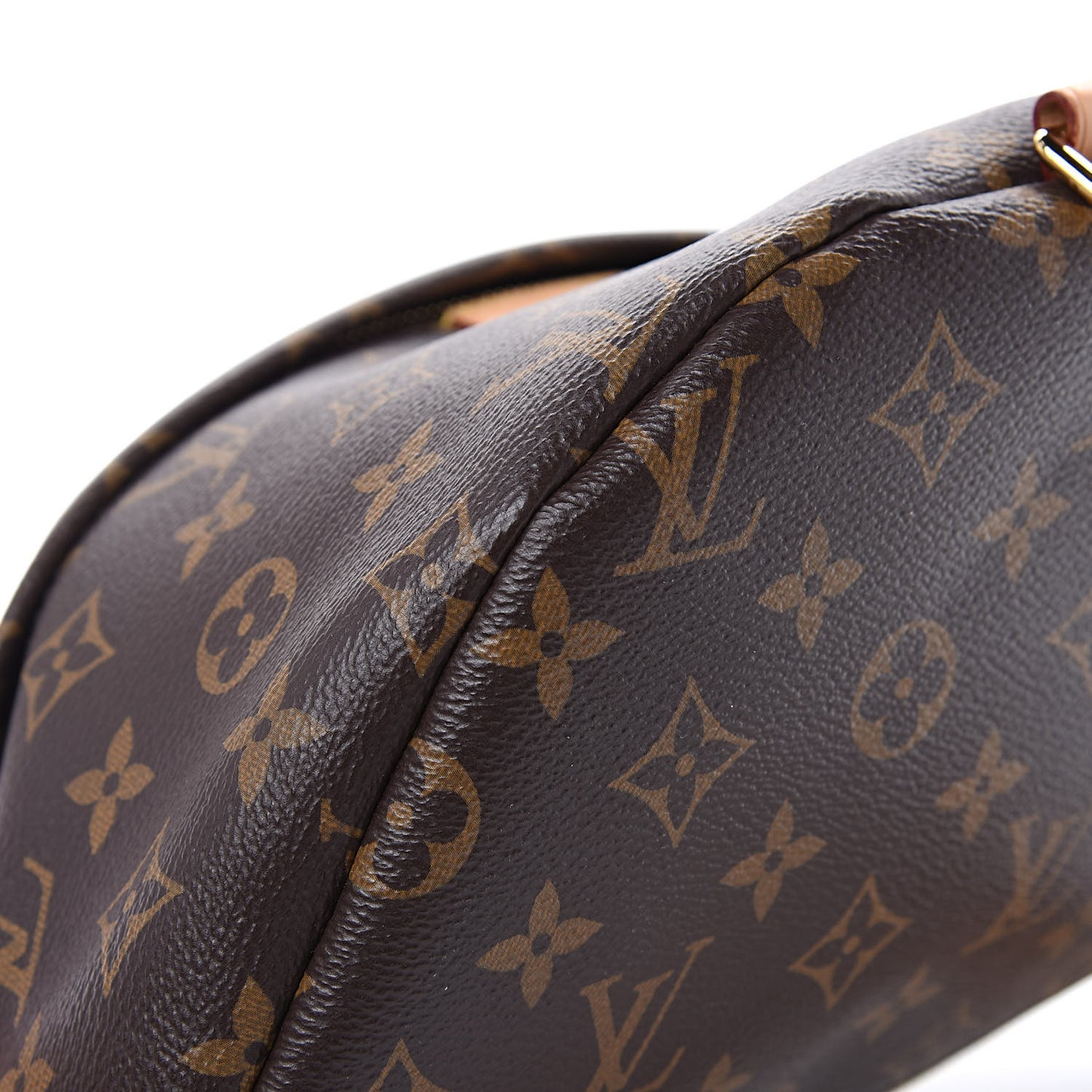 Monogram Bumbag