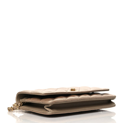 Chanel Metallic Aged Calfskin Reissue Wallet On Chain WOC Gold 4 of 10