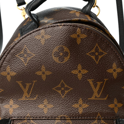Louis Vuitton Monogram Palm Springs Backpack Mini 12 of 19