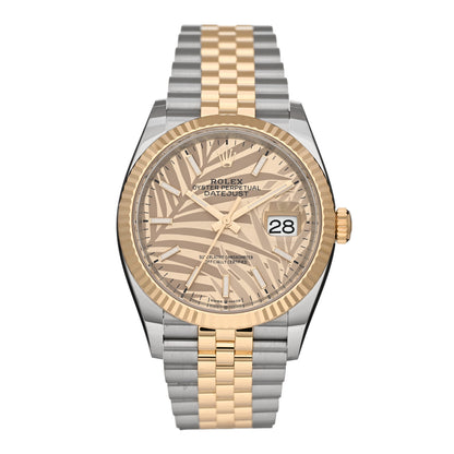 Rolex Stainless Steel 18K Yellow Gold 36mm Oyster Perpetual Datejust Watch Golden Palm 126233 1 of 5