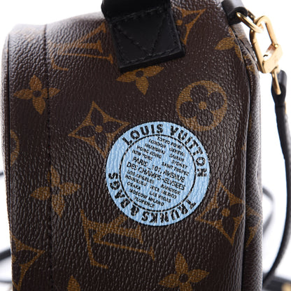 Louis Vuitton Monogram My World Tour Palm Springs Backpack Mini 9 of 11
