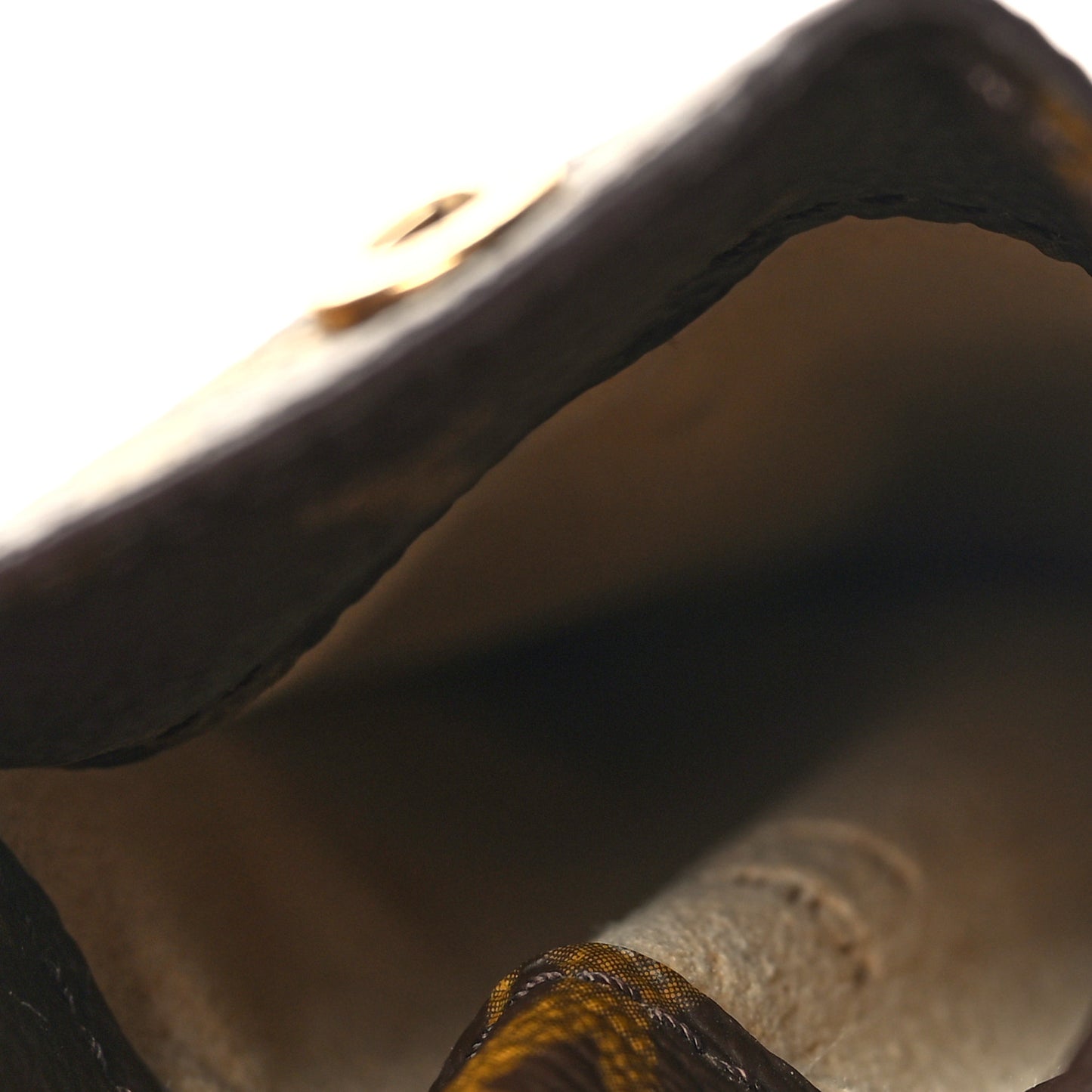 Monogram Sunglasses Case PM