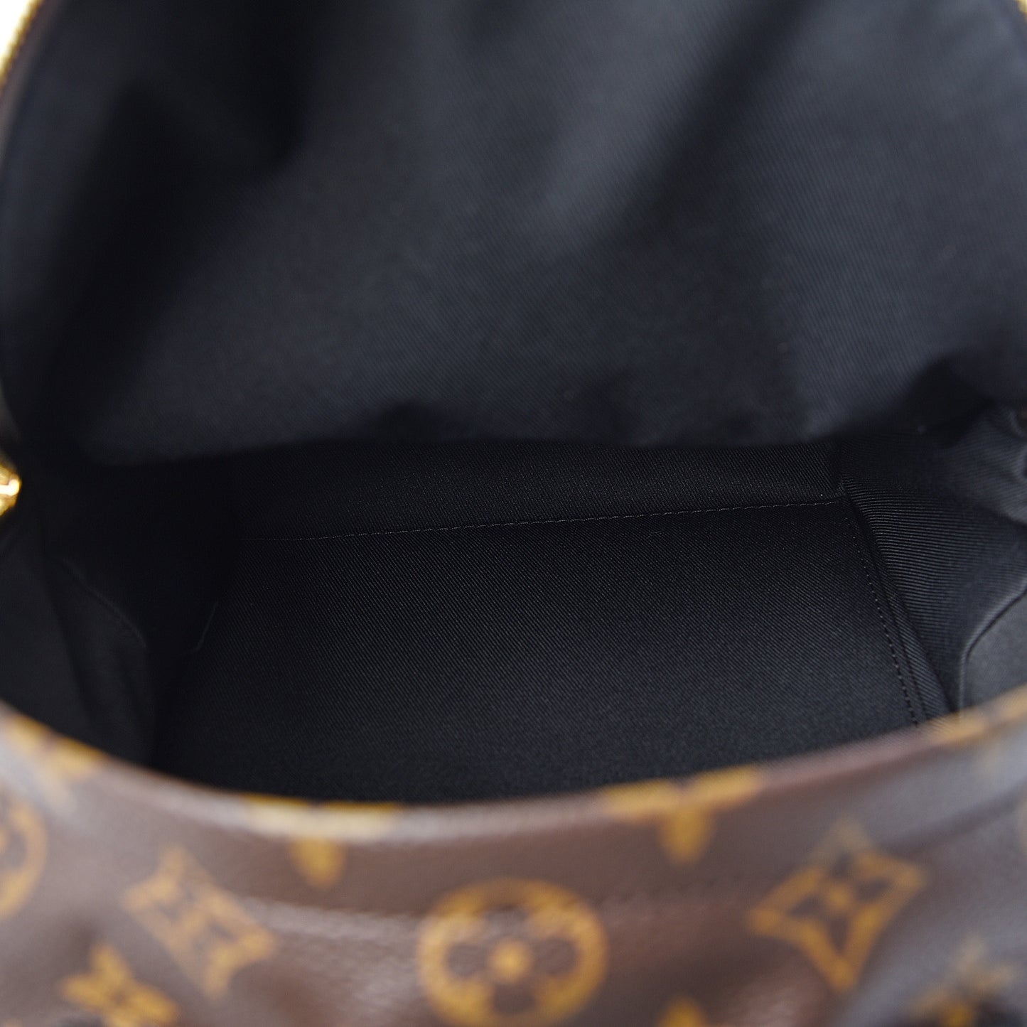 Reverse Monogram Palm Springs Backpack PM