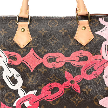 Louis Vuitton Monogram Bay Speedy 30 Rose Ballerine Poppy 8 of 12