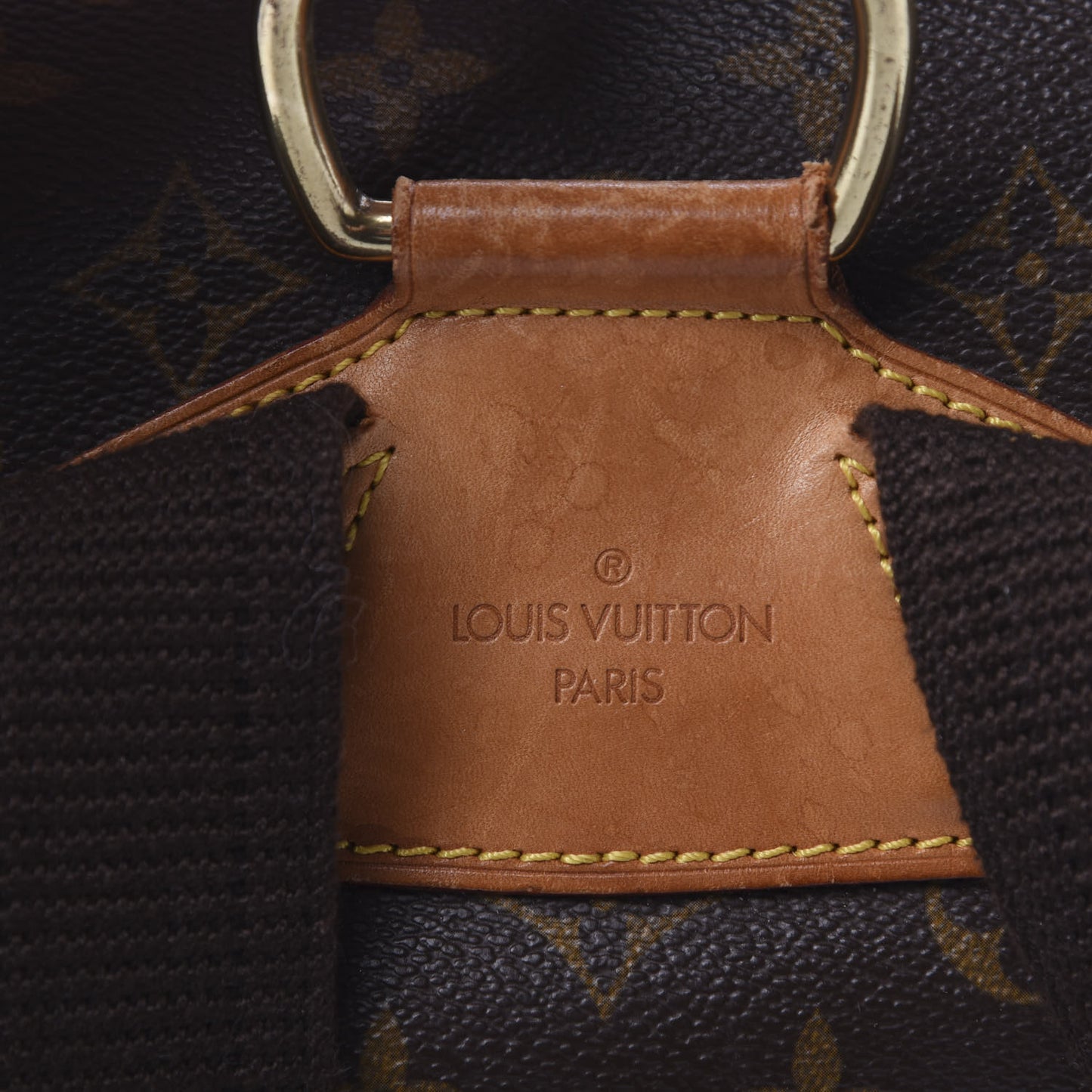 Monogram Montsouris GM Backpack