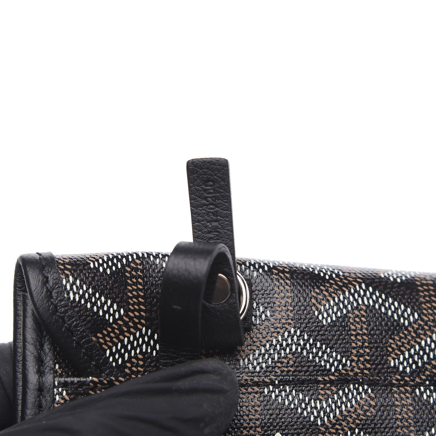 Goyard Goyardine Saint Louis PM Black 7 of 10