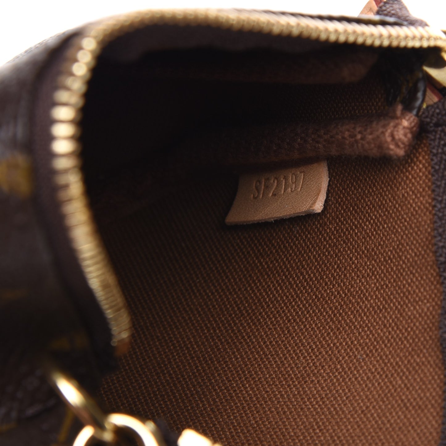 Monogram Mini Pochette Accessories