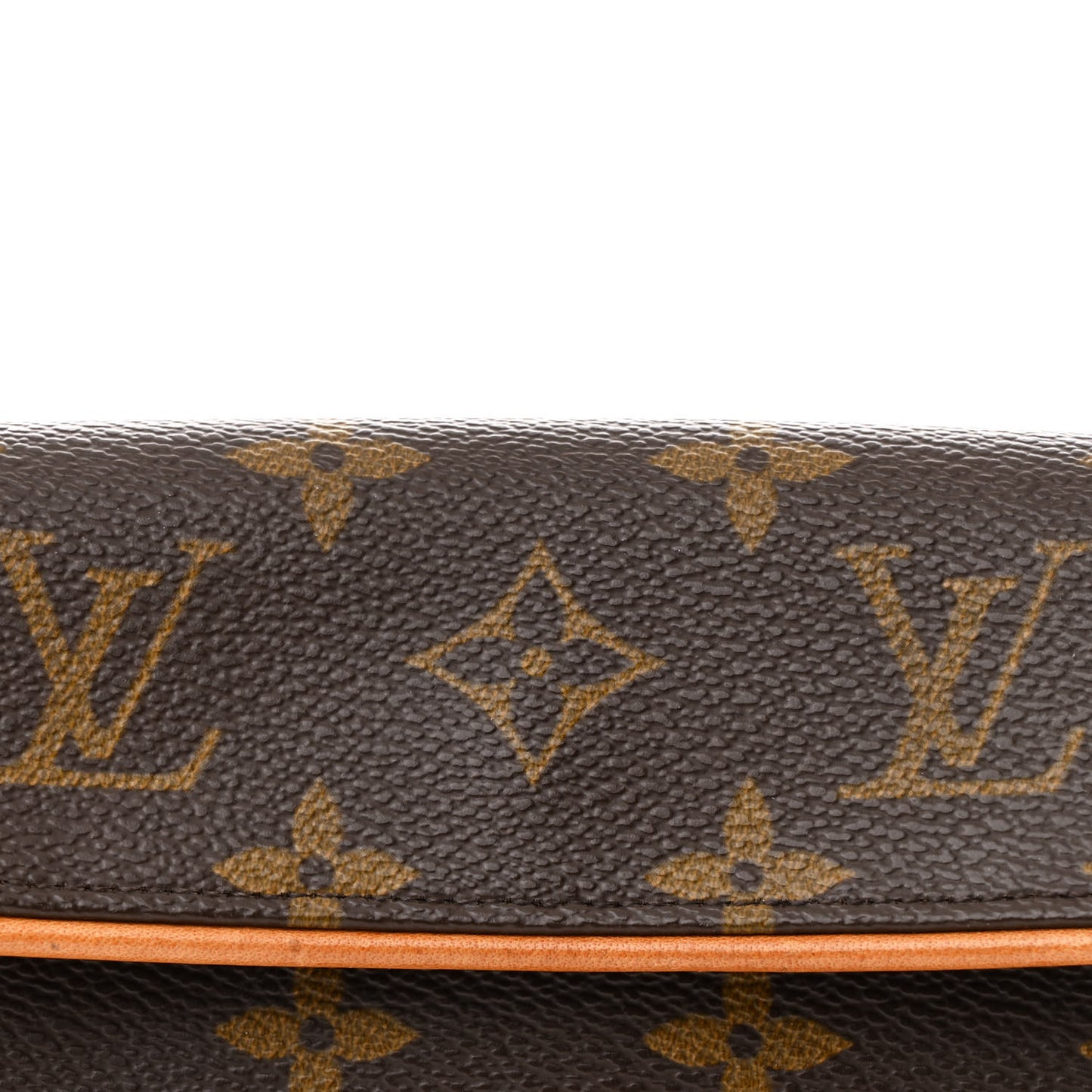 Monogram Pochette Florentine M