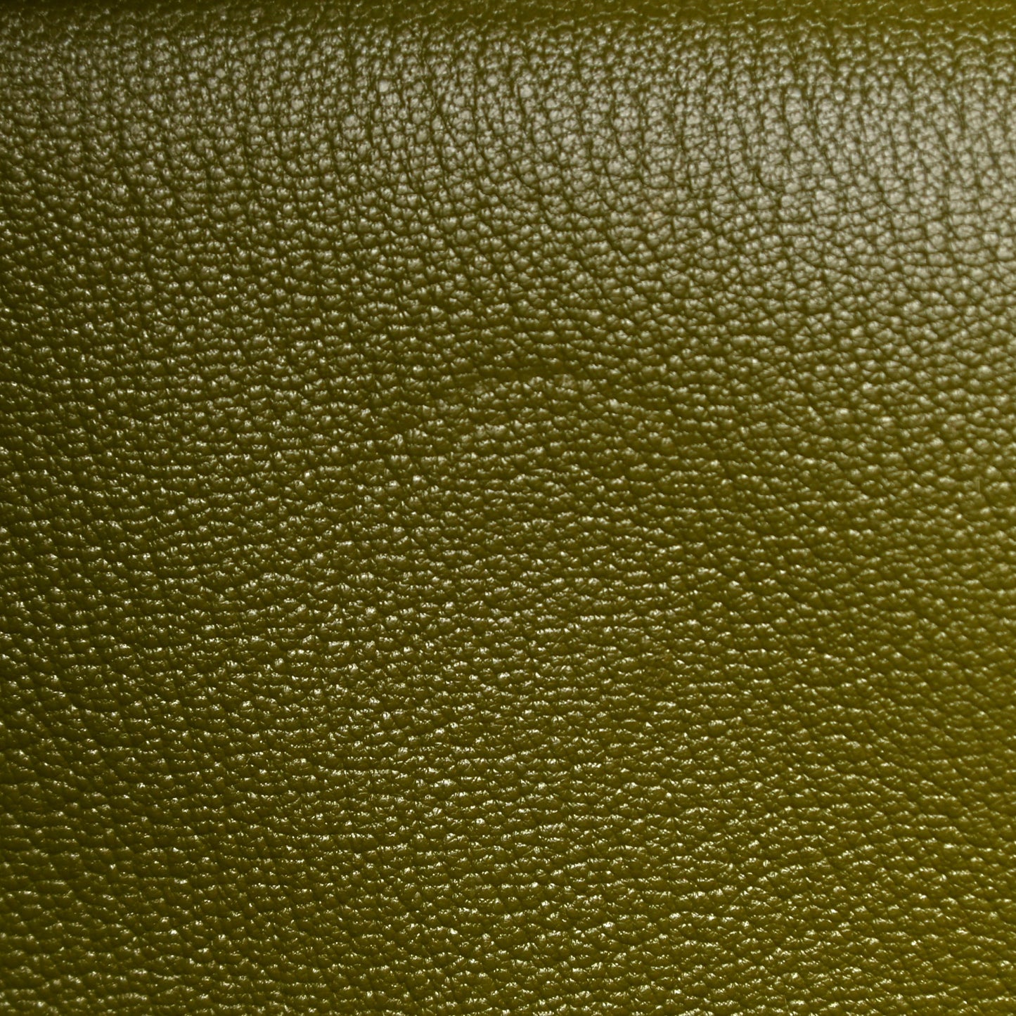 Epsom Birkin 35 Kiwi