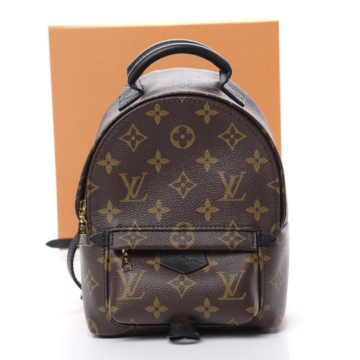Monogram Palm Springs Backpack Mini