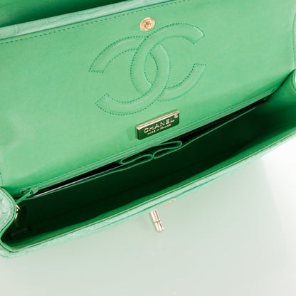 Chanel Alligator Medium Double Flap Light Green 6 of 8