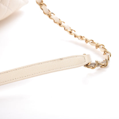 Chanel Caviar Lizard Quilted Small Coco Handle Flap Ivory 9 of 14
