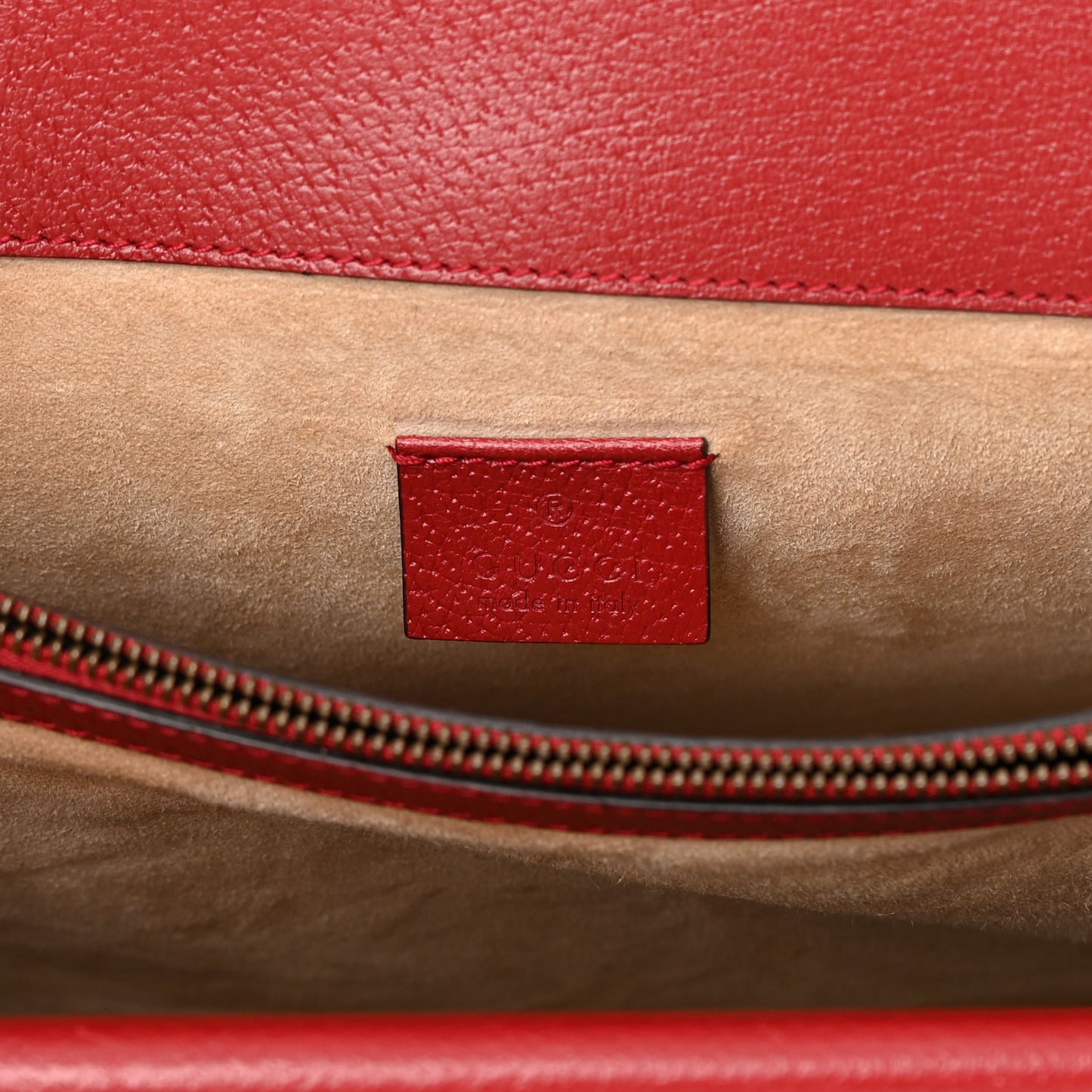 Calfskin Web Raccoon Embroidered Medium Dionysus Shoulder Bag Red