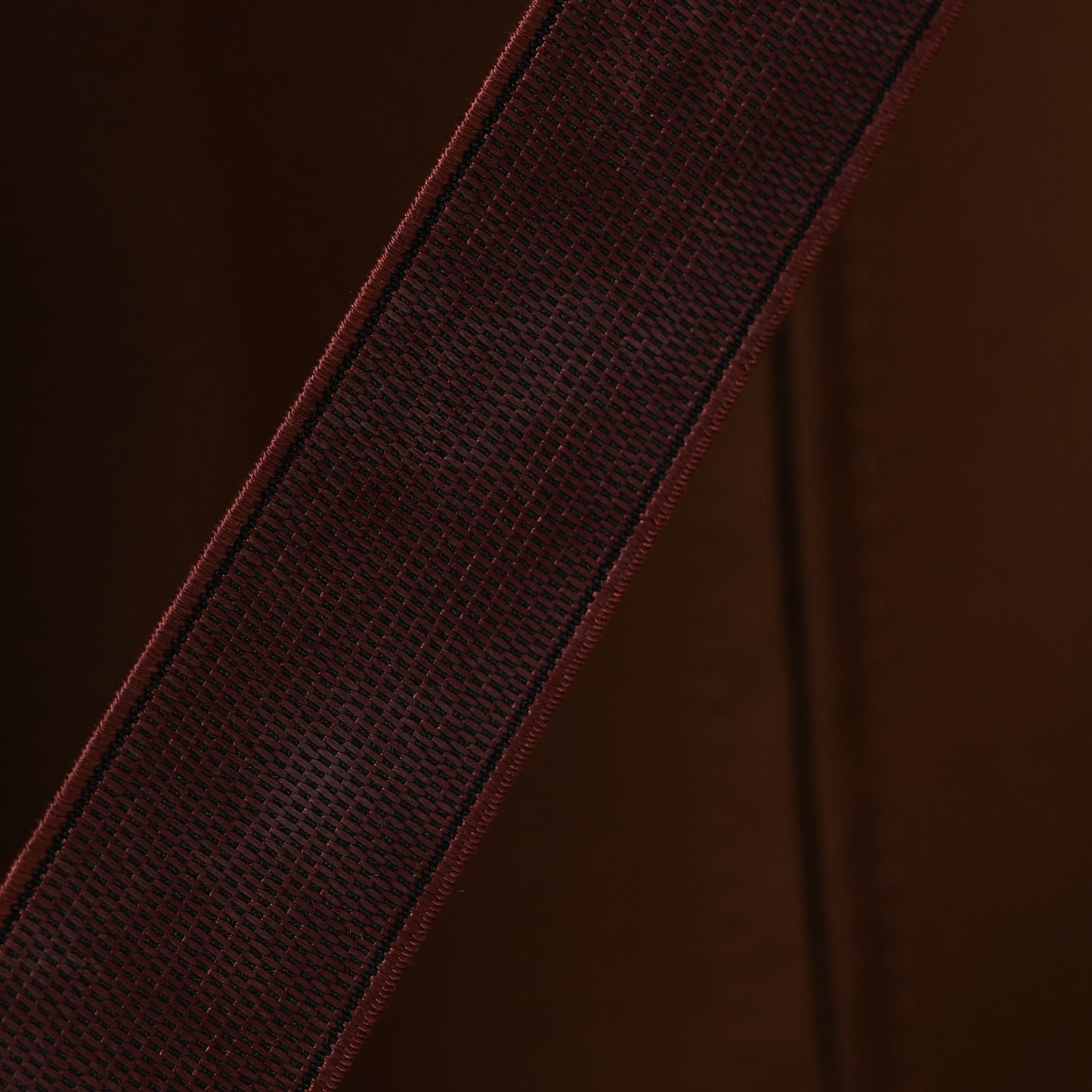 Monogram Pegase 55