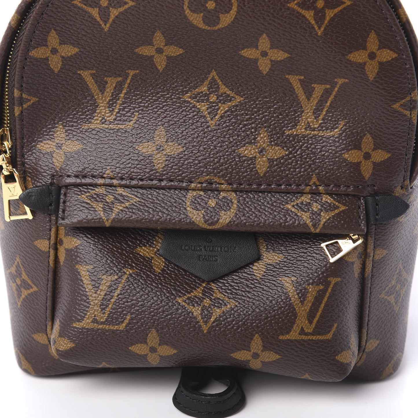 Monogram Palm Springs Backpack Mini