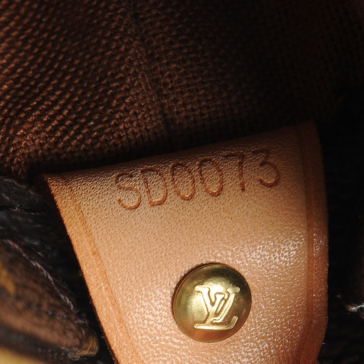 Monogram Cabas Mezzo