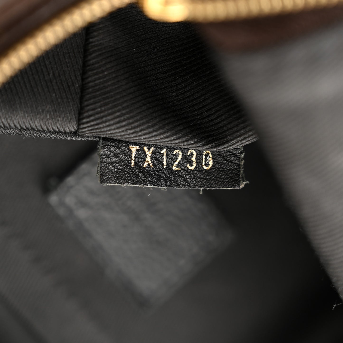 Monogram Palm Springs Backpack Mini