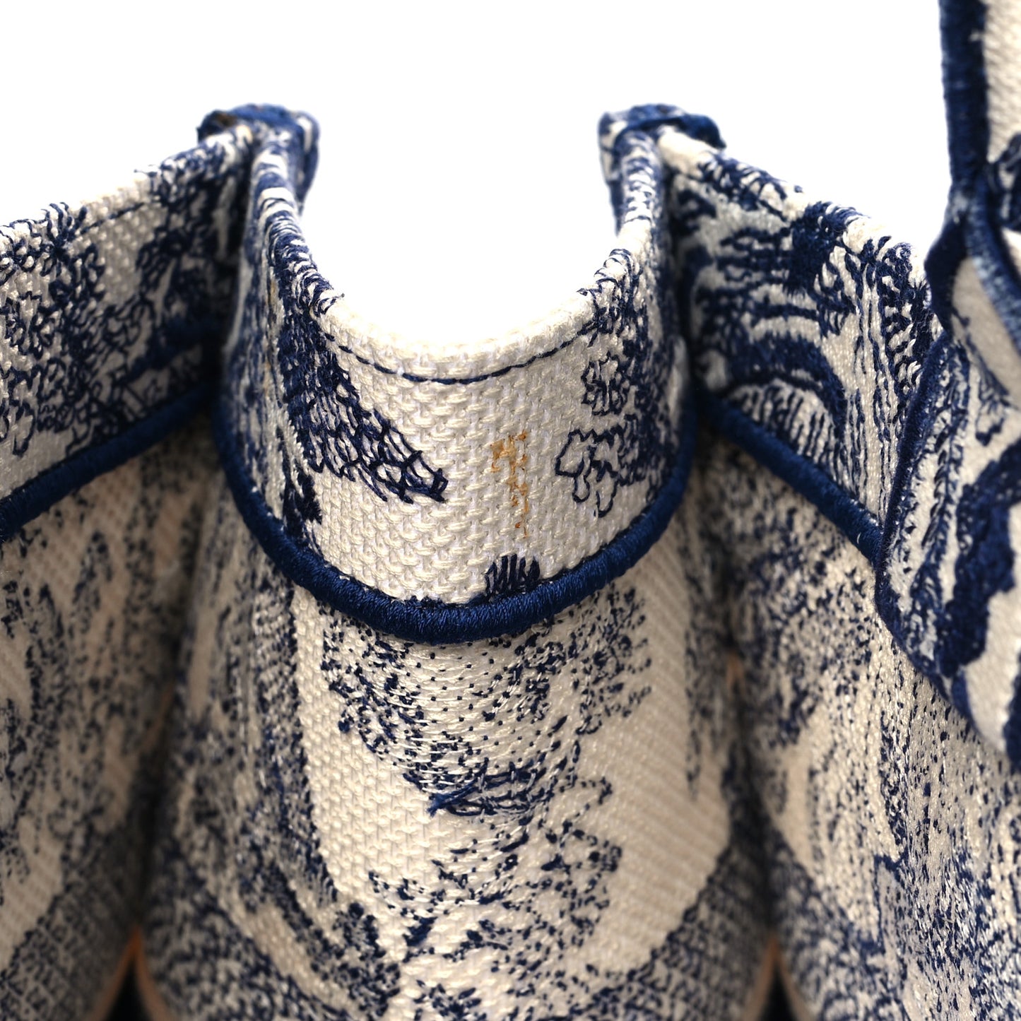 Canvas Embroidered Medium Dioriviera Toile De Jouy Book Tote Blue