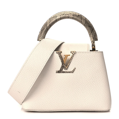 Louis Vuitton Taurillon Ayers Capucines Mini White Snow White 1 of 10
