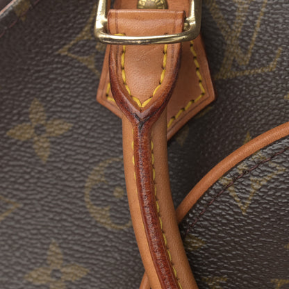 Louis Vuitton Monogram Ellipse PM 12 of 16