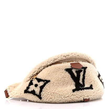Louis Vuitton Monogram Teddy Bumbag 4 of 9