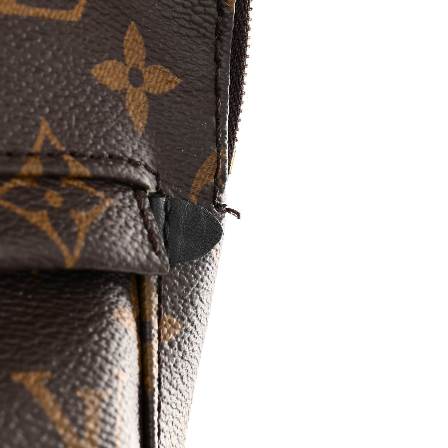 Monogram Palm Springs Backpack Mini
