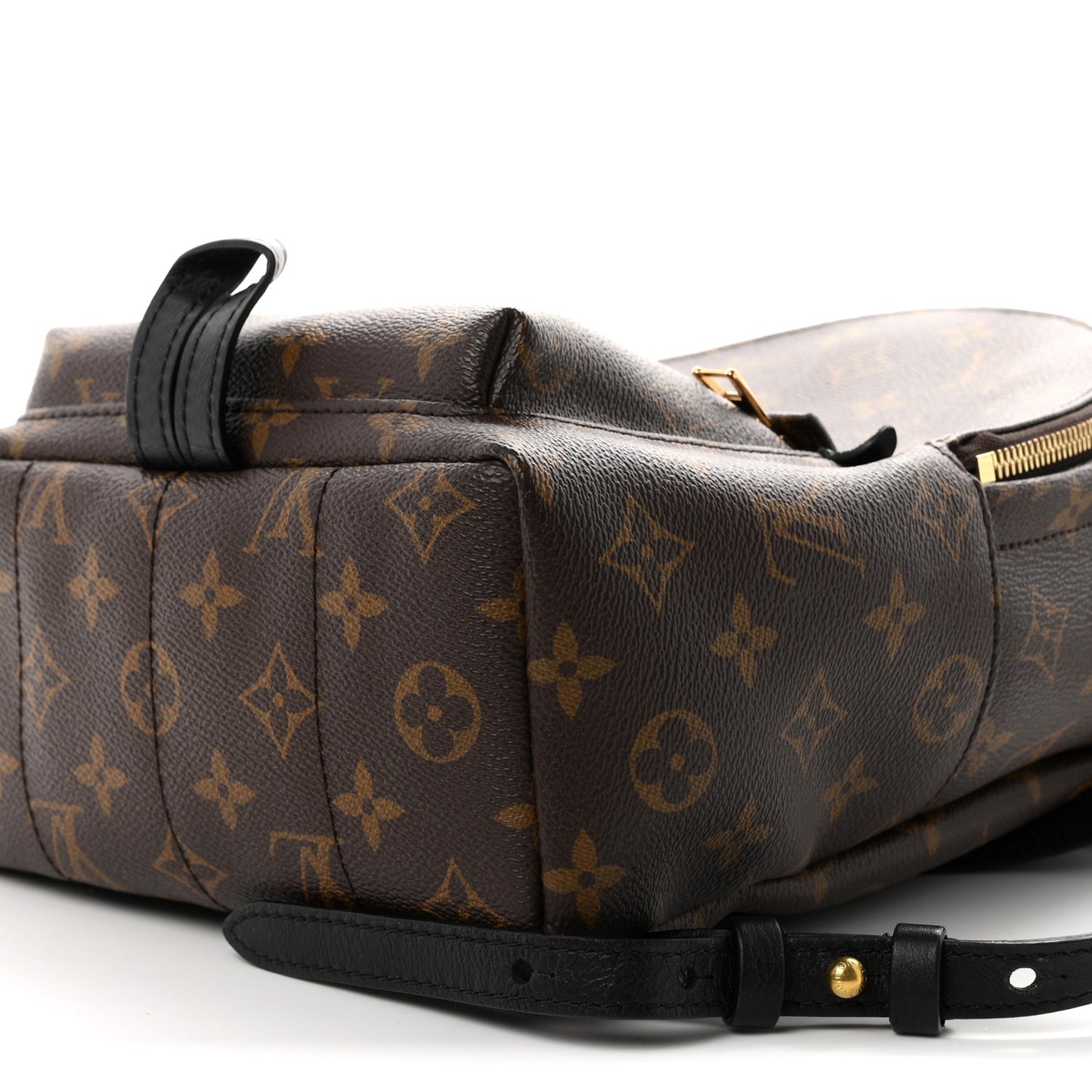 Monogram Palm Springs Backpack PM