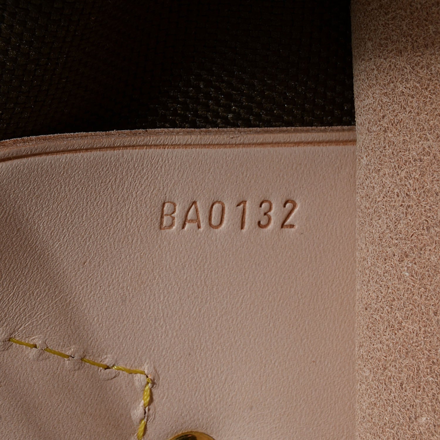 Louis Vuitton Monogram Garment Cover 9 of 10