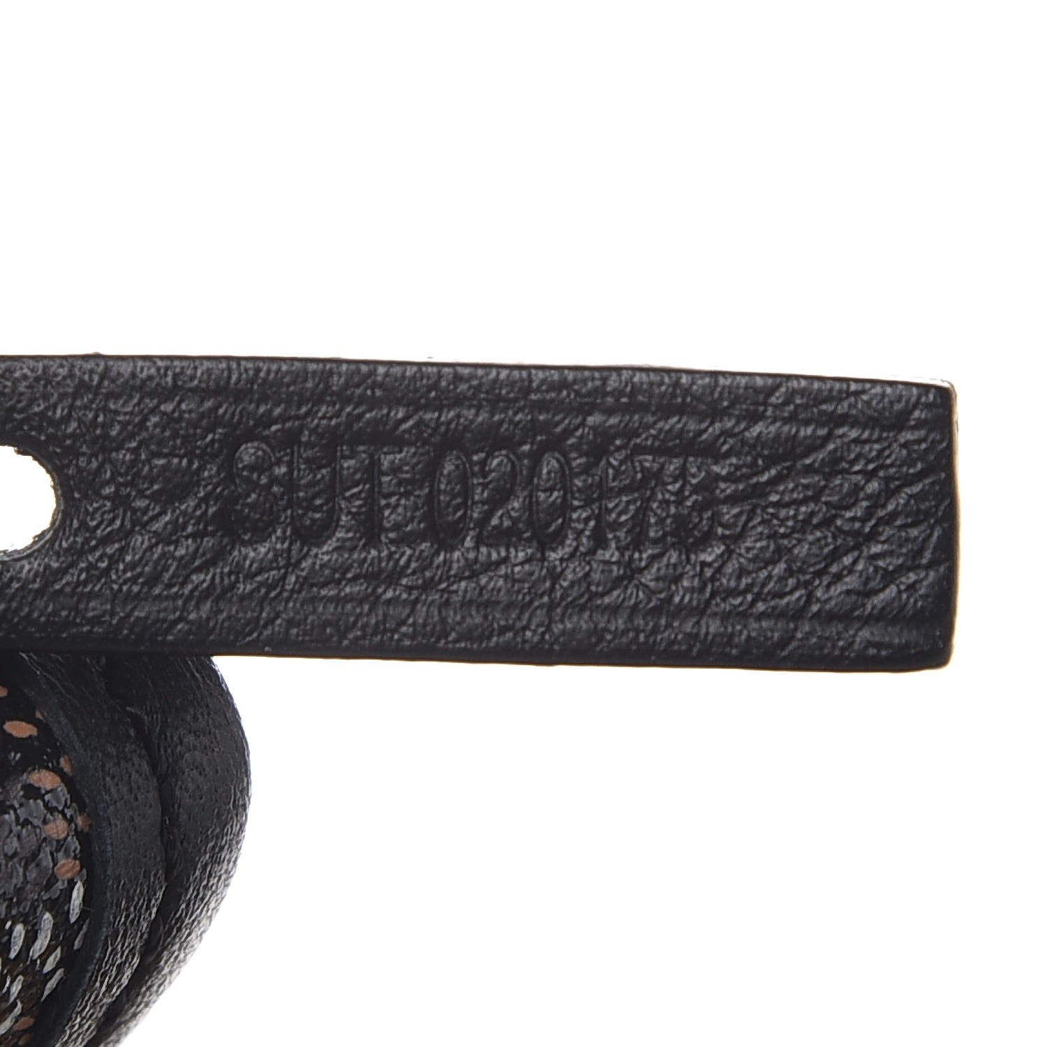 Goyard Goyardine Saint Louis GM Black 9 of 9