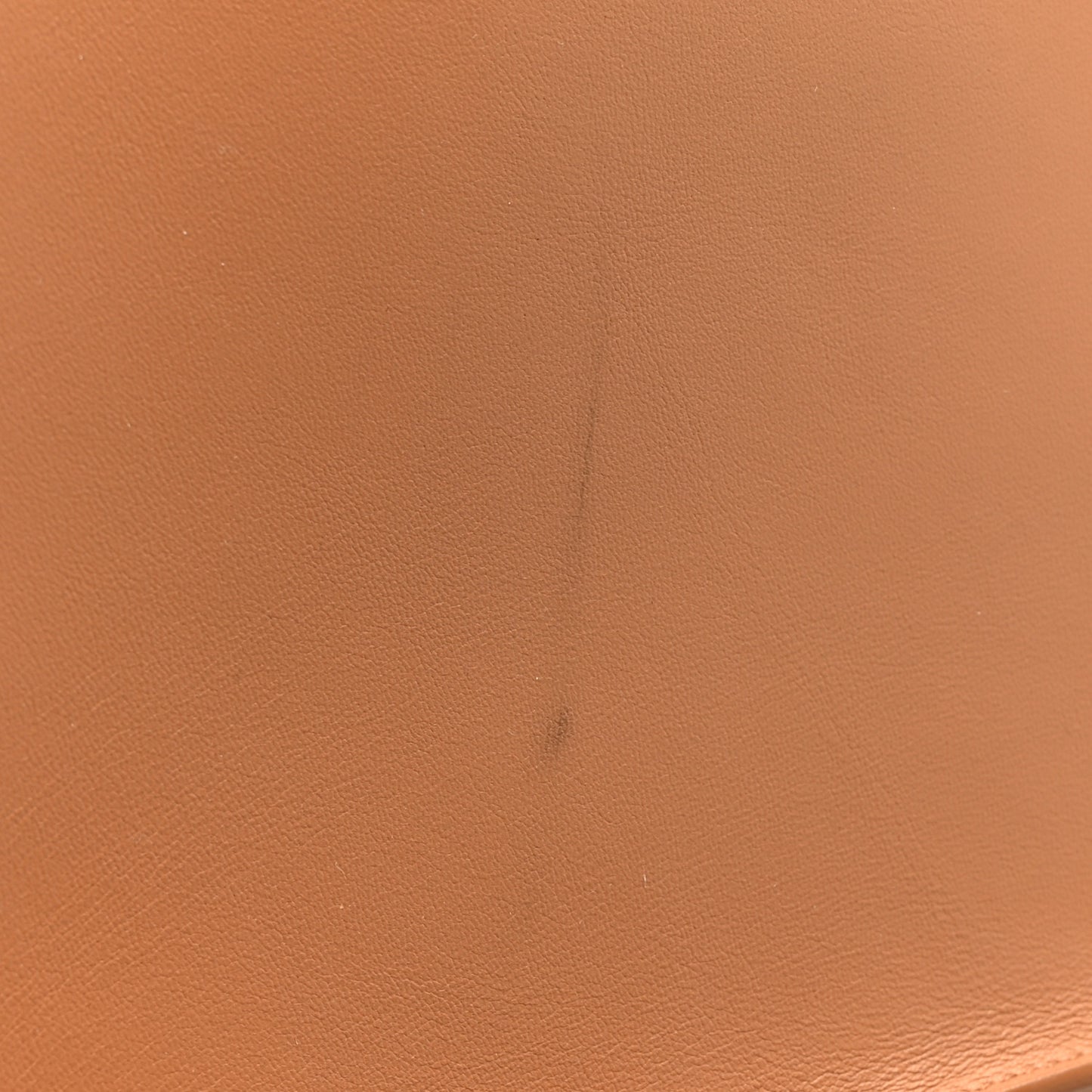 Calfskin Vienne Lili 24 Tote Brun Dore