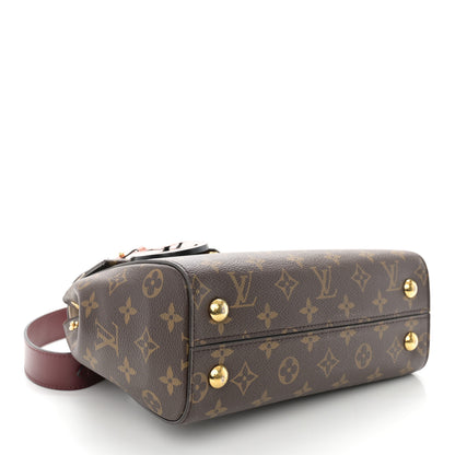 Louis Vuitton Monogram Braided Cluny BB Multicolor 4 of 11