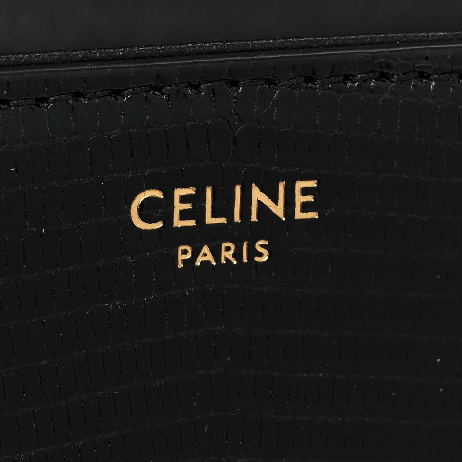 Celine Lizard Teen Triomphe Black 6 of 8