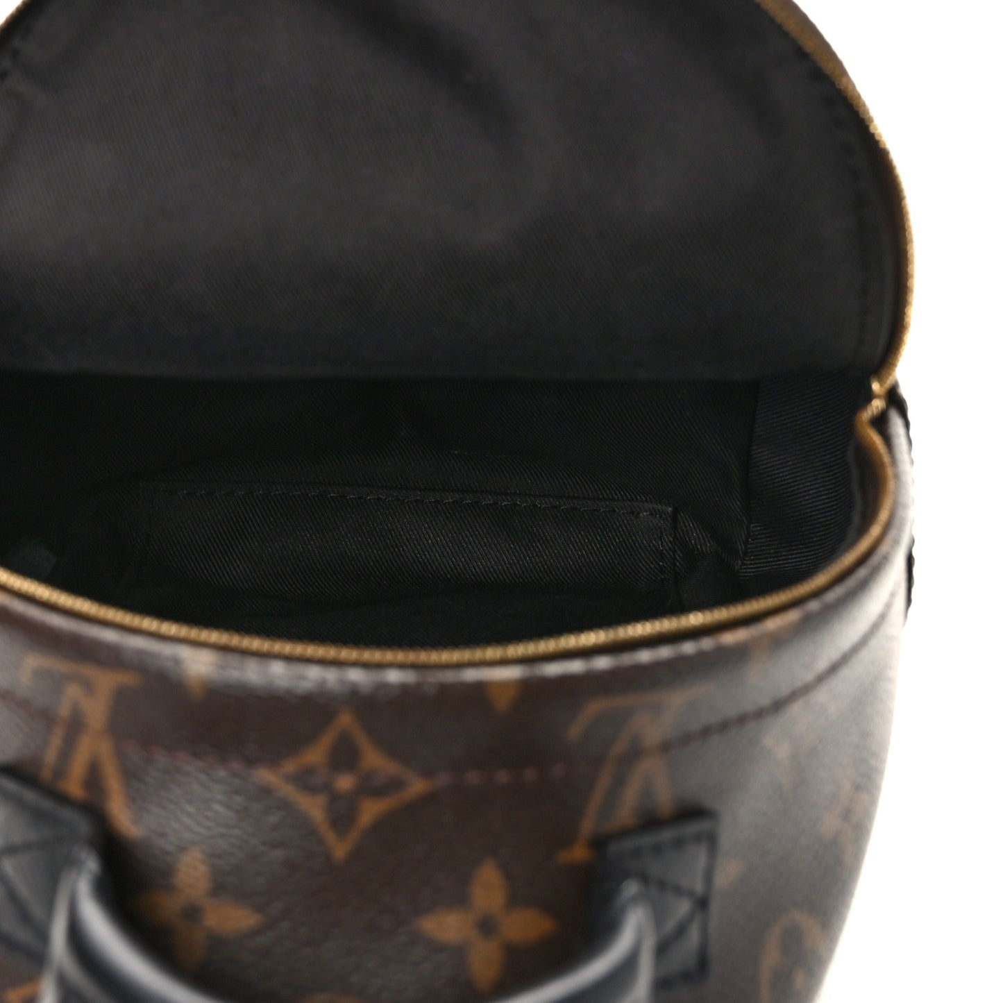 Monogram Palm Springs Backpack Mini