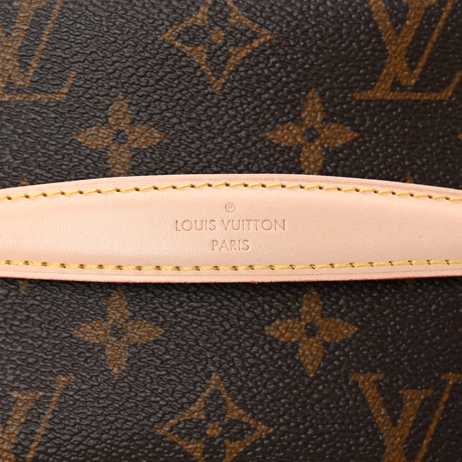 Louis Vuitton Monogram Nice Mini 10 of 12