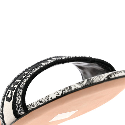 Christian Dior Canvas Plan de Paris Embroidered Dway Flat Slide Sandals 40.5 Off White Black 14 of 15
