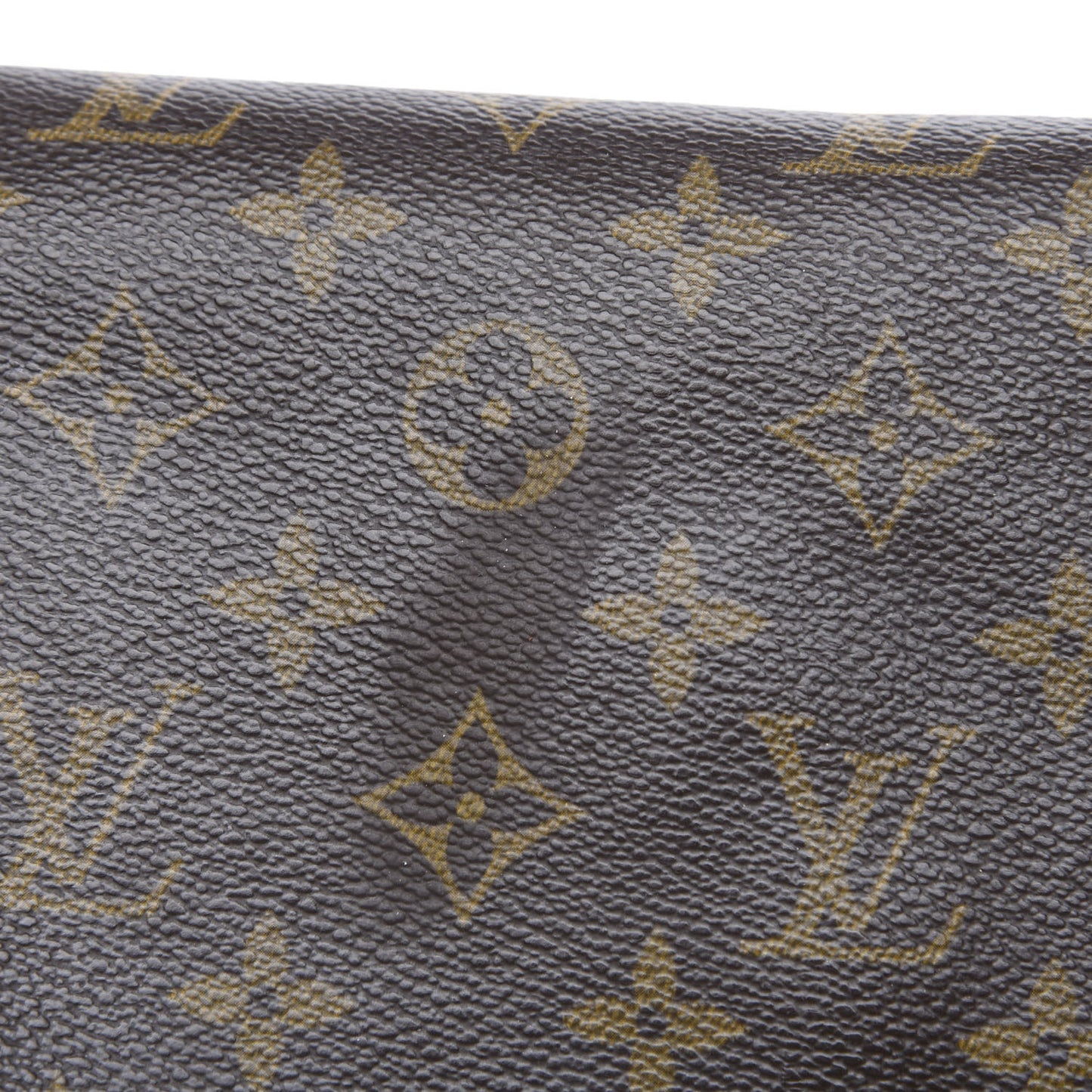 Monogram Mini Looping