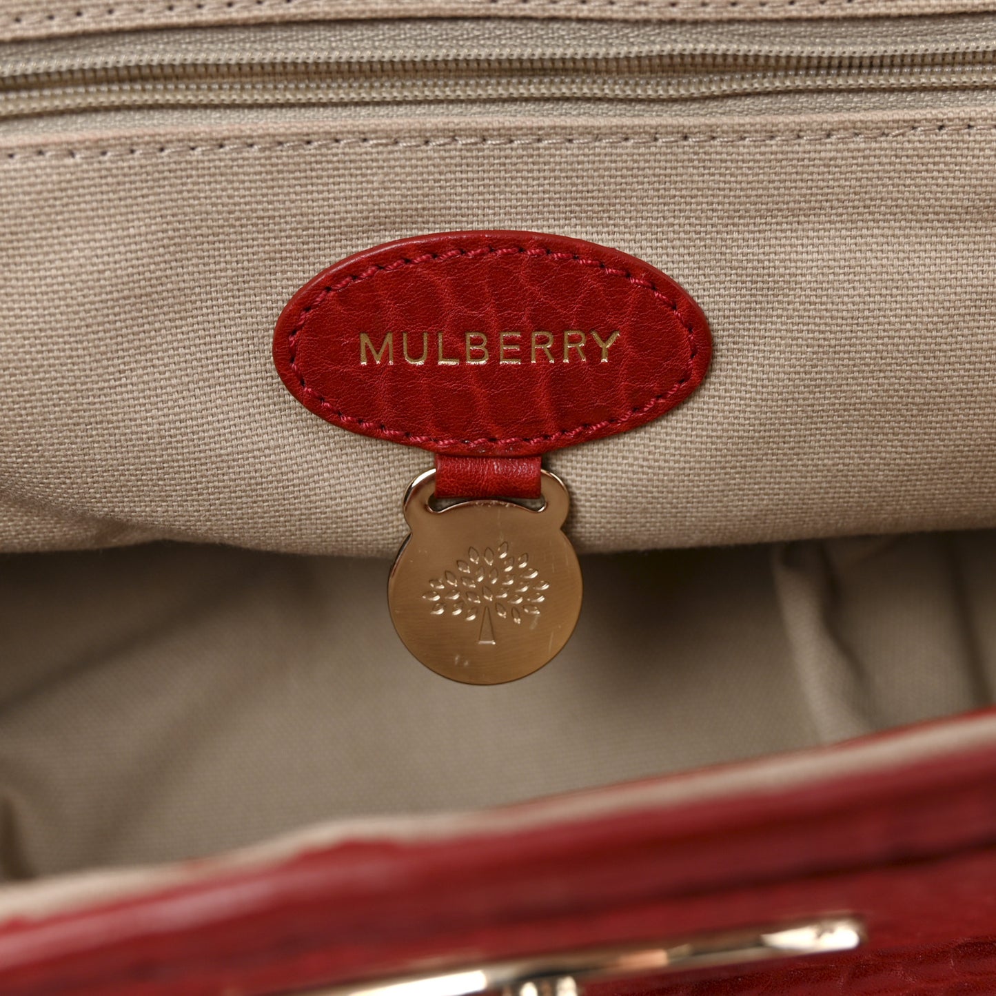 Shrunken Calfskin Medium Alexa Red