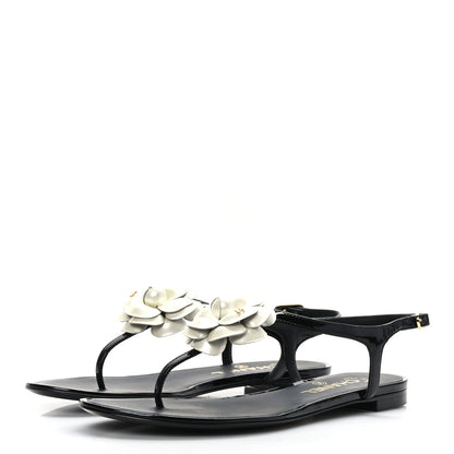 Chanel Lambskin Camellia Thong Sandals 37.5 Black 3 of 7