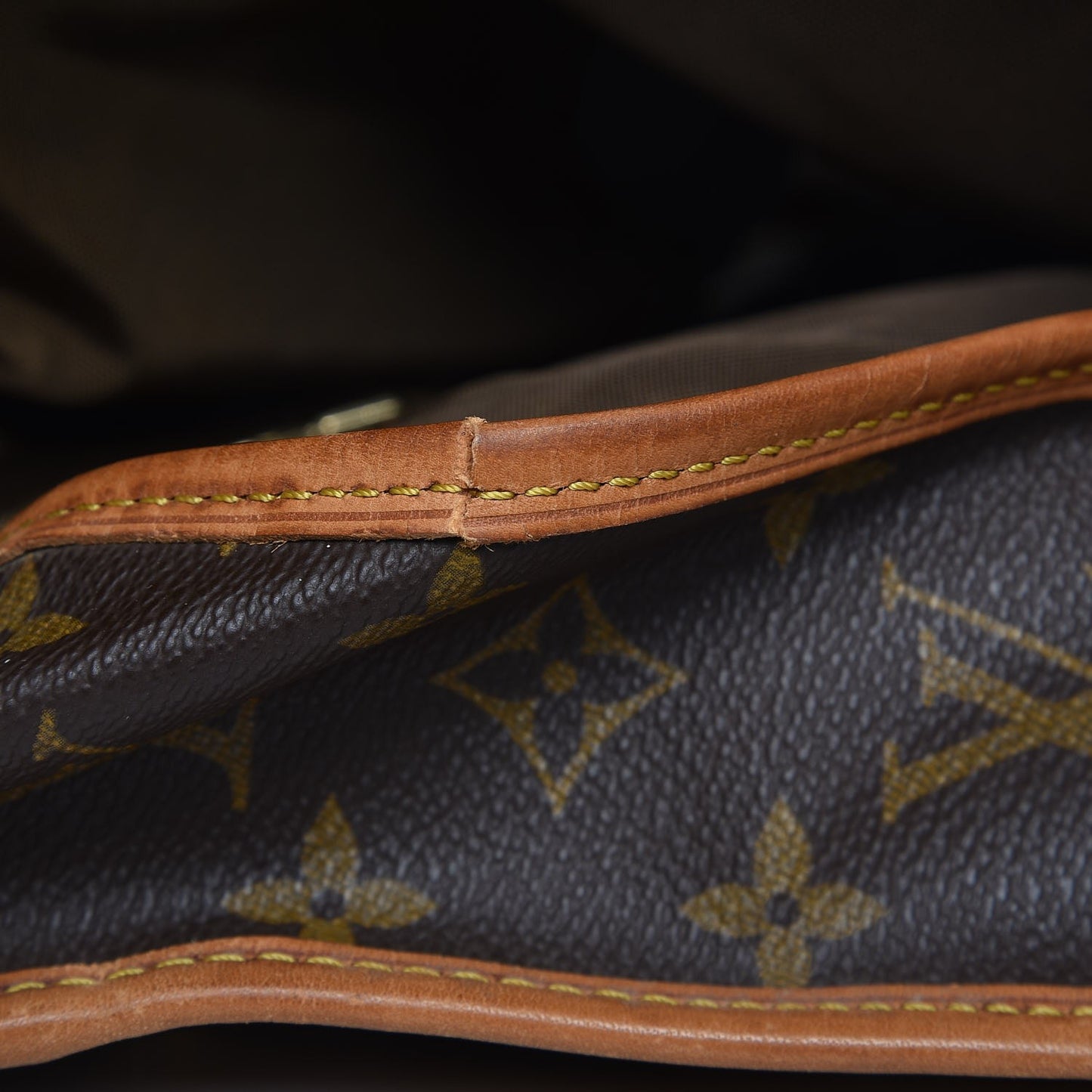 Monogram Garment Bag