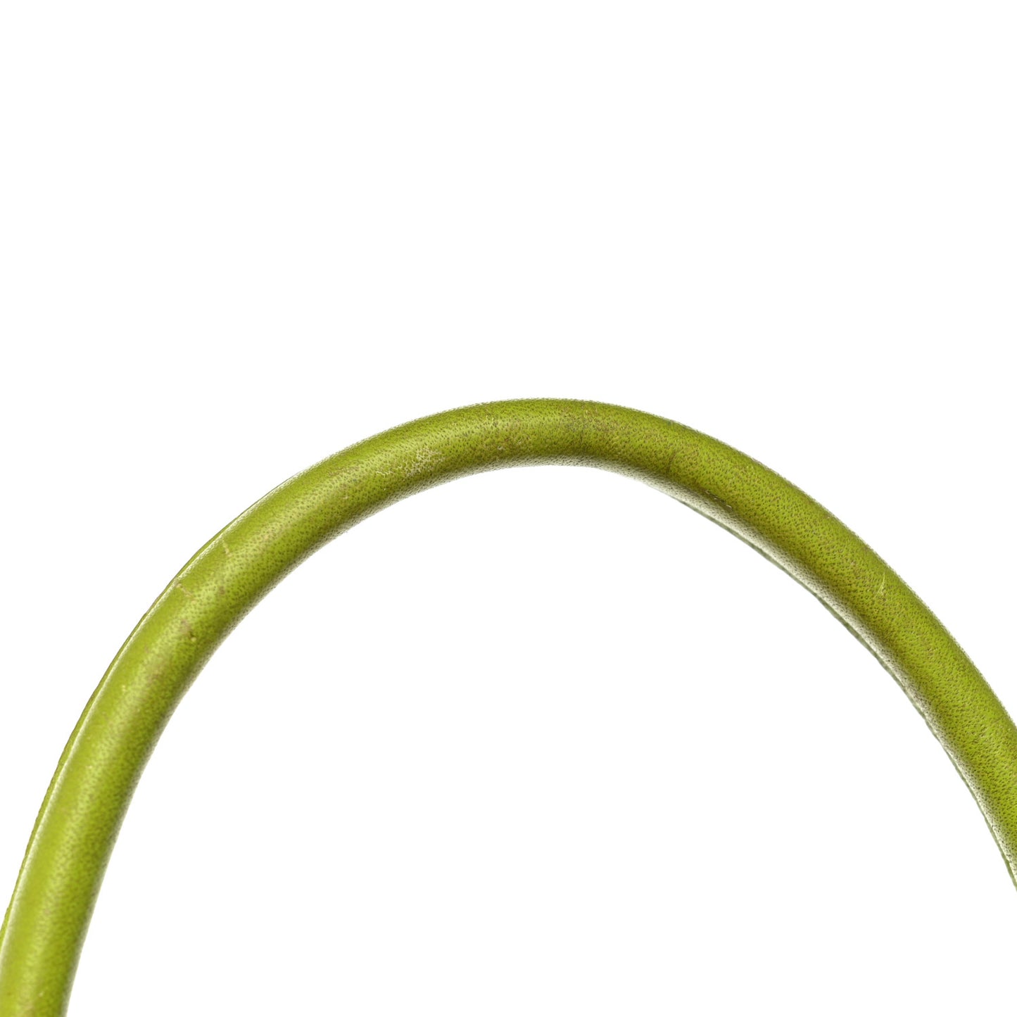 Visetos Crown Stud Large Stark Backpack Green