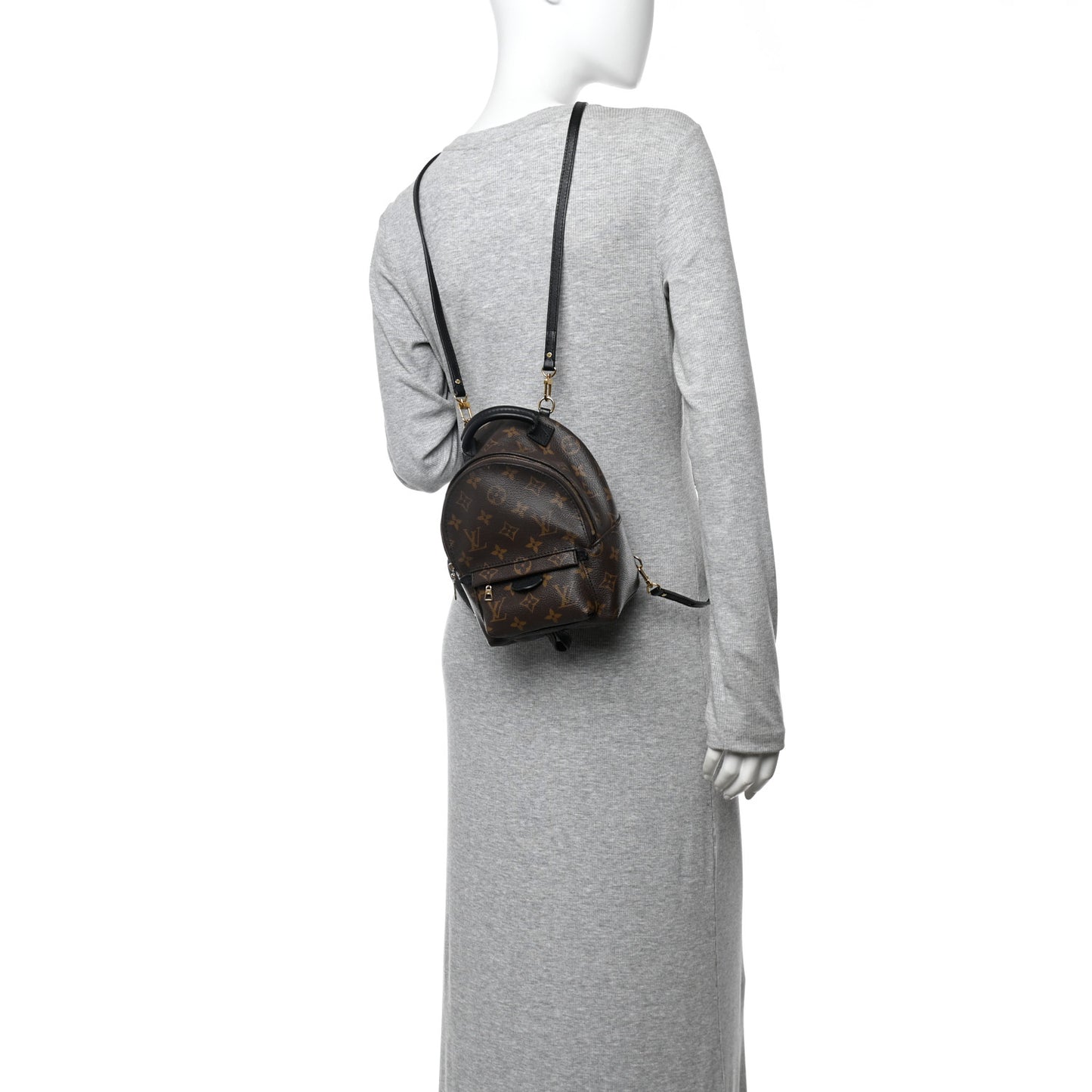Monogram Palm Springs Backpack Mini