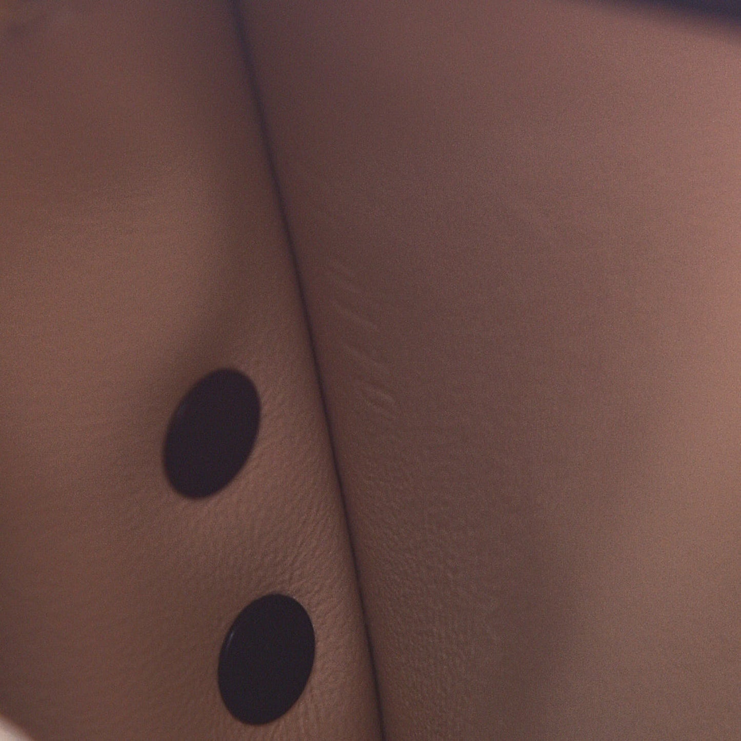 Reverse Monogram Trunk Clutch