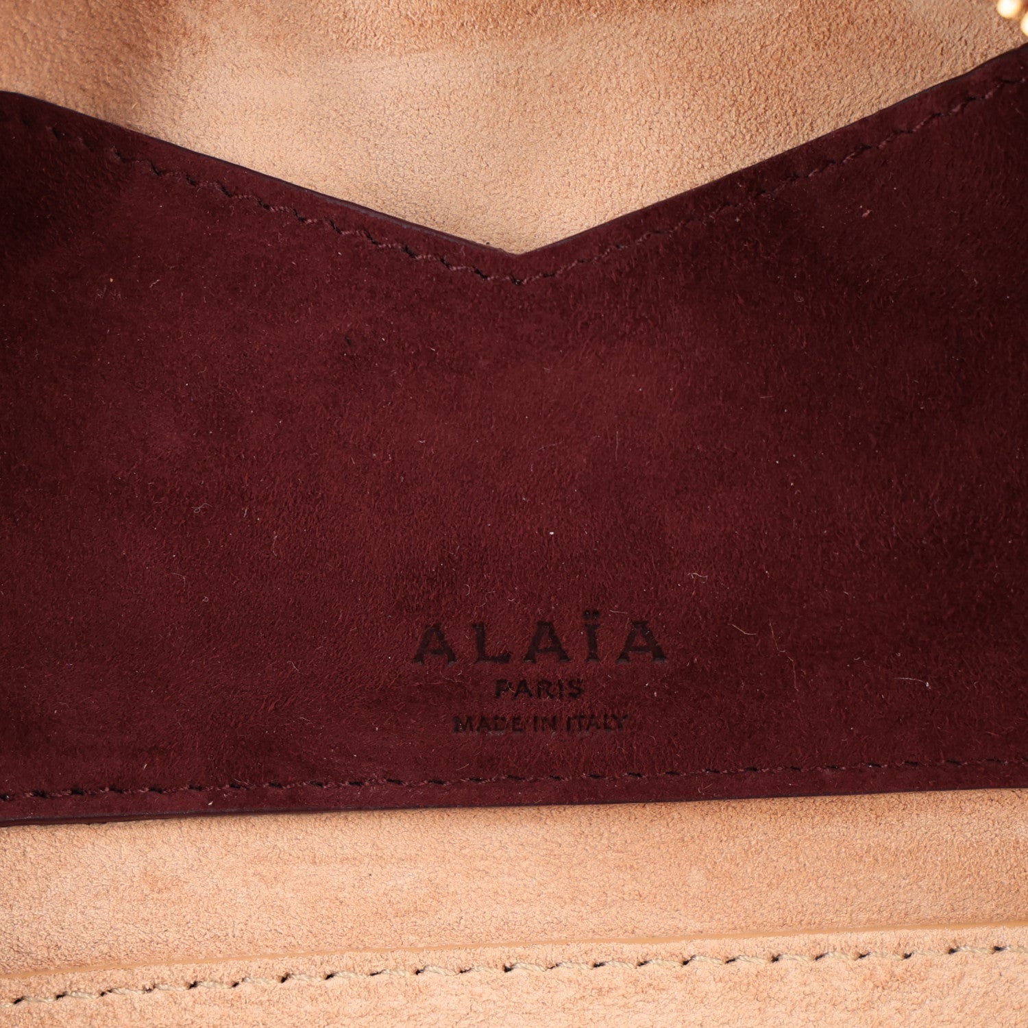 Alaia Suede Goatskin Teckel Clutch Rouge Grenat 6 of 9