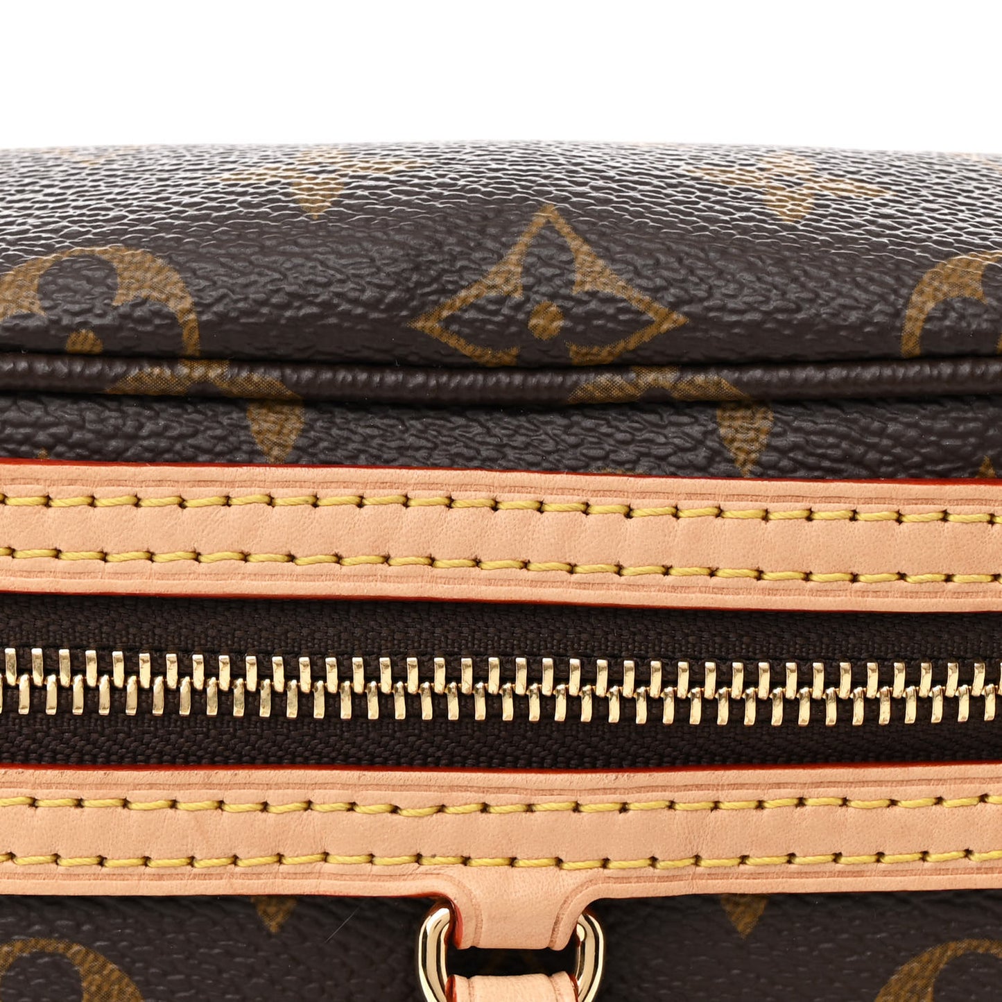 Monogram High Rise Bumbag