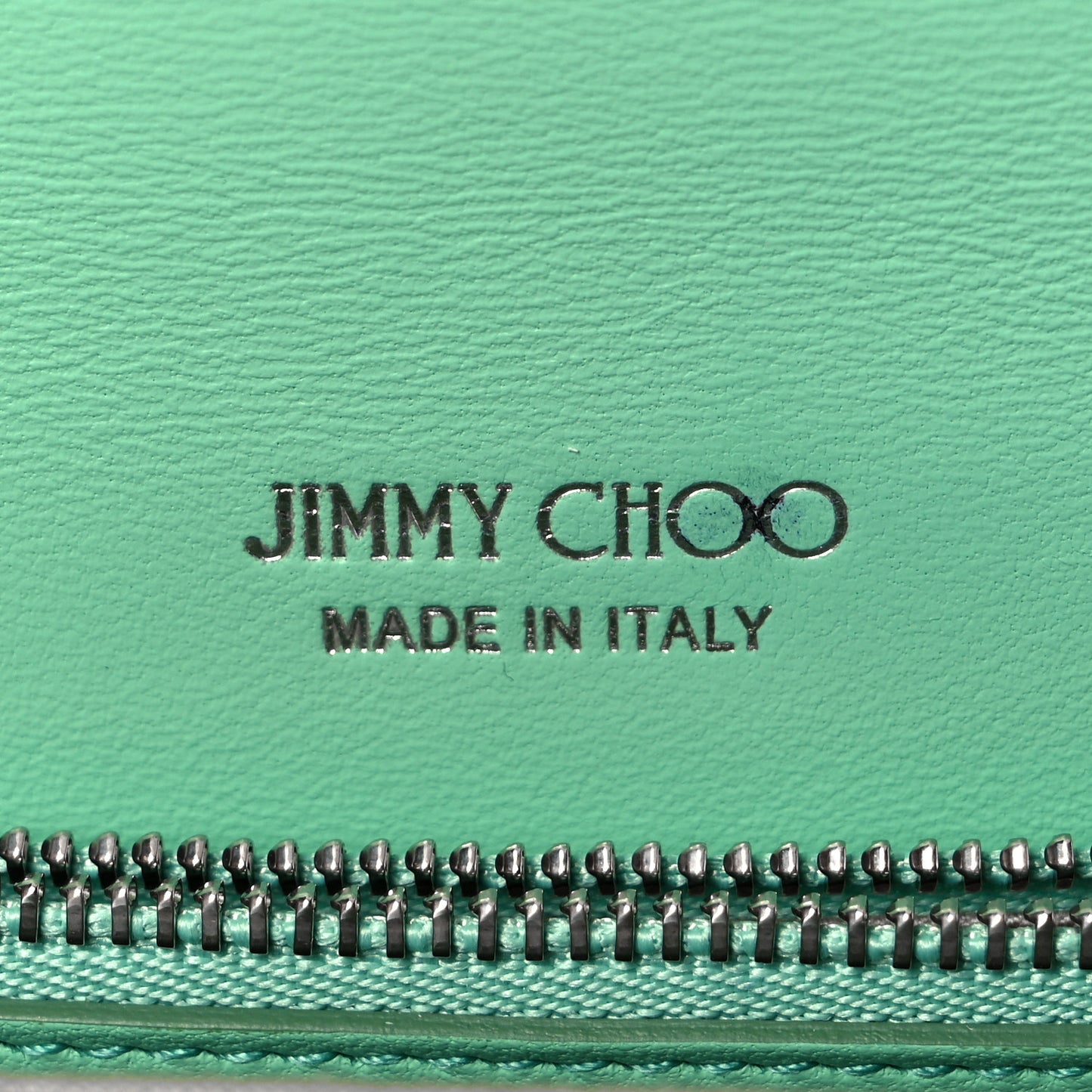 Snakeskin Embossed Chain Clutch Green