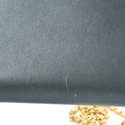 Celine Shiny Calfskin Clutch On A Chain Multicolor 14 of 14