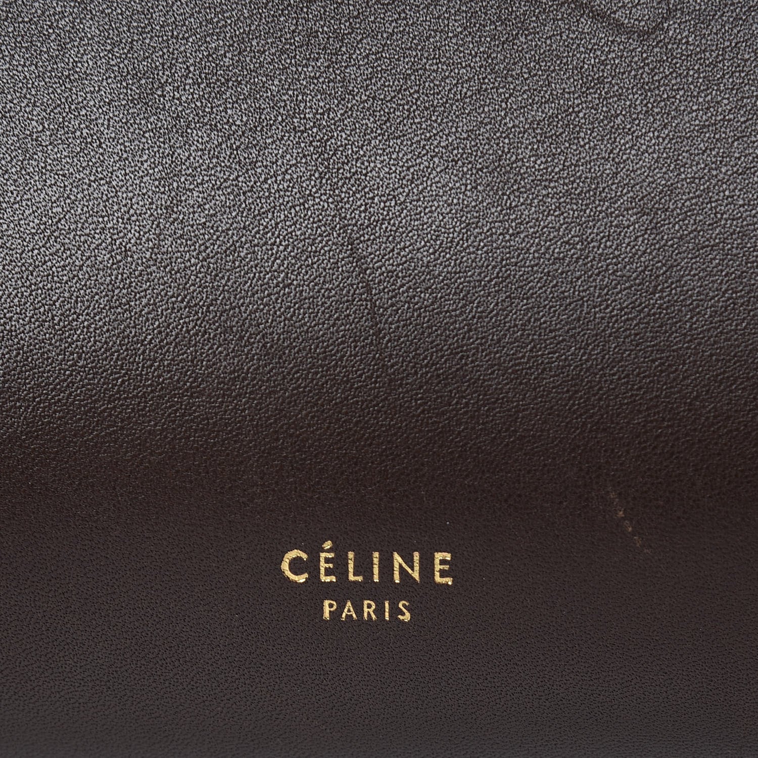 Celine Supersoft Calfskin Mini Belt Bag Wood 6 of 16