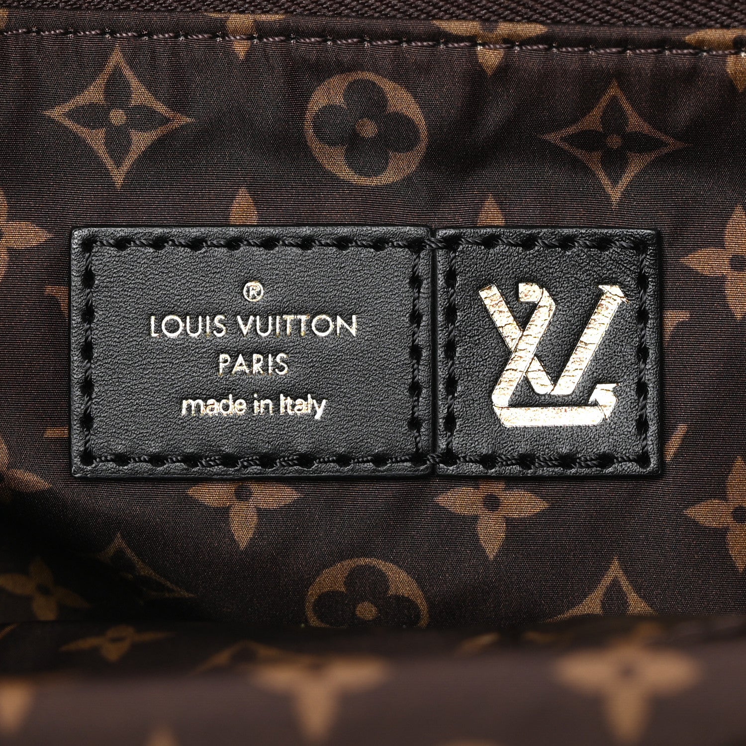 Louis Vuitton Econyl Monogram Pillow Giant Onthego GM Black 6 of 9
