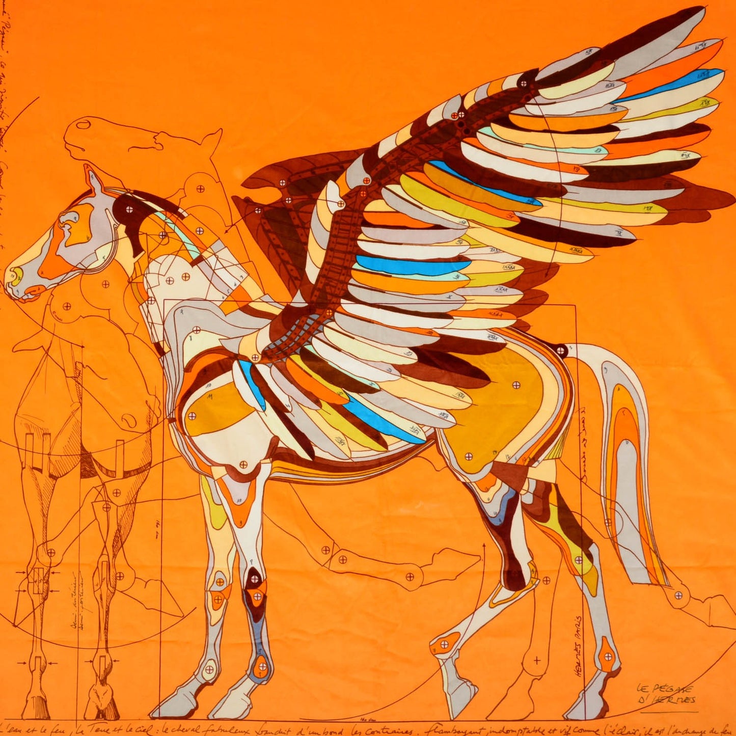 Cotton Modal Velvet Le Pegase D'Throw Orange