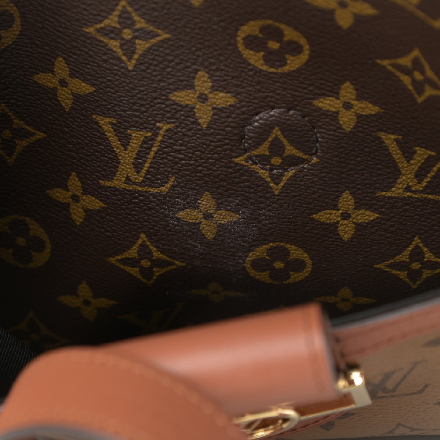 Reverse Monogram Dauphine Hobo MM
